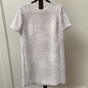 OFFICE/ Babaton 2019 Patricio dress